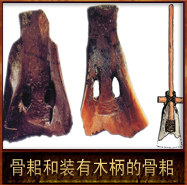 pic/hmdwh/2/河姆渡出土的骨耜和装有木柄的骨耜复原图.jpg