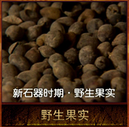 pic/xsqsqww/2/野生果实.jpg