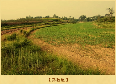 驰道：秦驰道