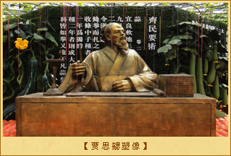 贾思勰塑像