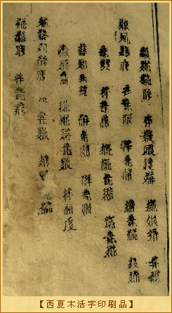 西夏木活字印刷品