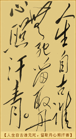 文天祥诗词：人生自古谁无死，留取丹心照汗青