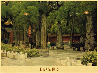 御花园