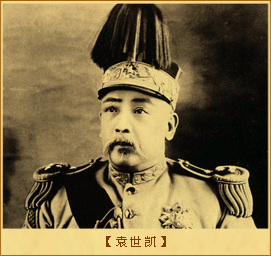 中华民国约法：：袁世凯